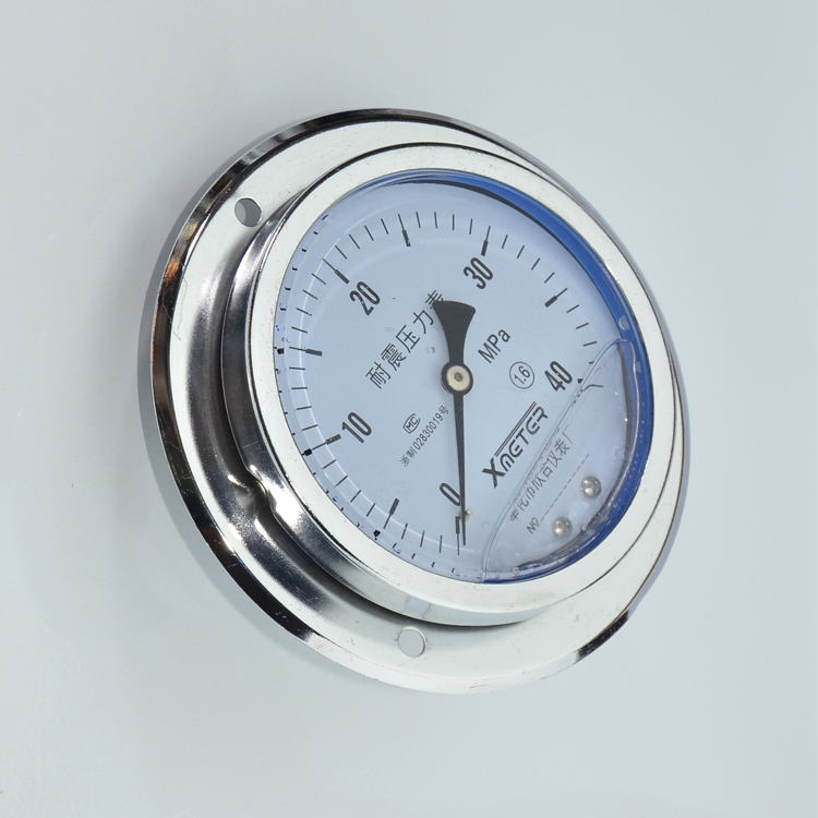 轴向带边耐震压力表